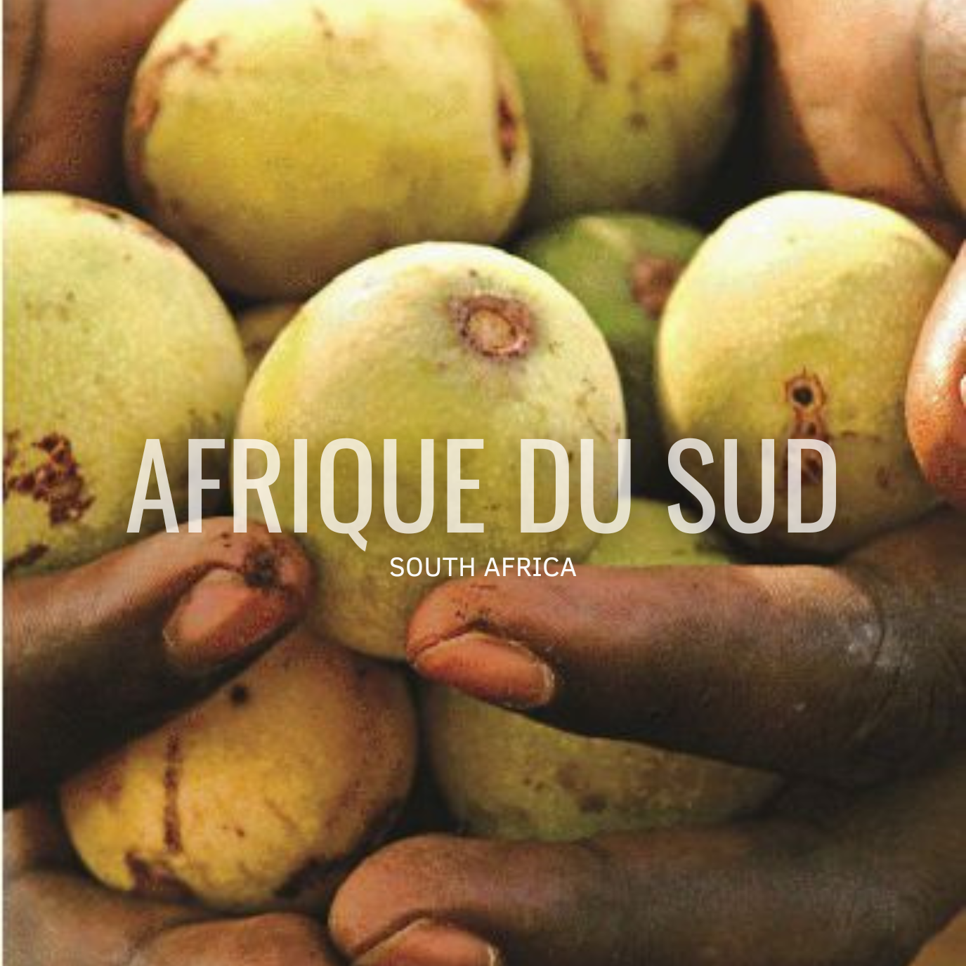 Huile de marula anti-âge